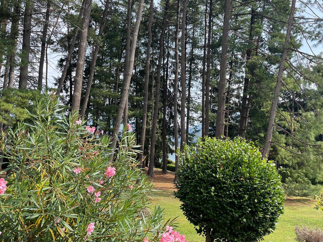Villa Mario - Casa Vacanze Lavena Ponte Tresa Eksteriør billede
